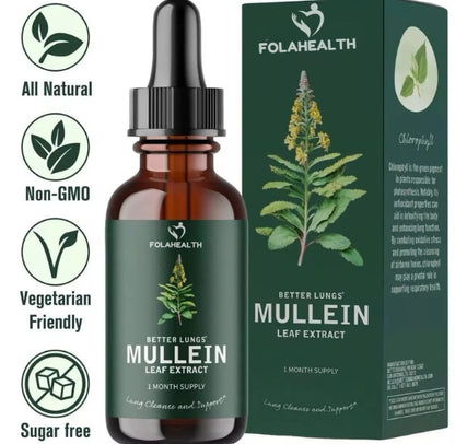 FolaHealth™ Mullein Leaf Extract