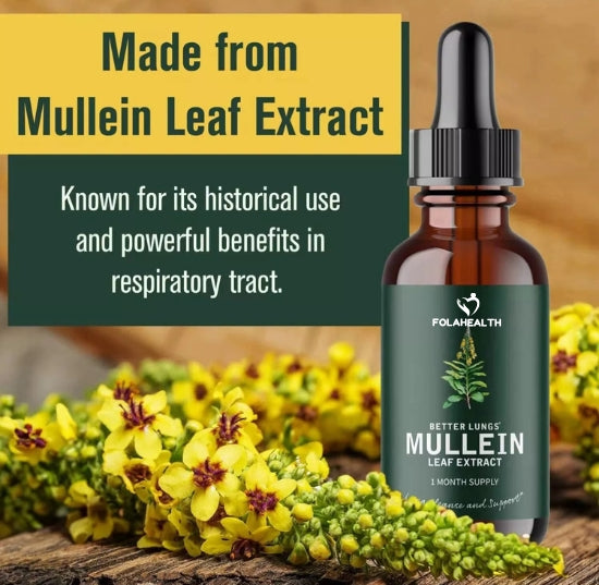 FolaHealth™ Mullein Leaf Extract