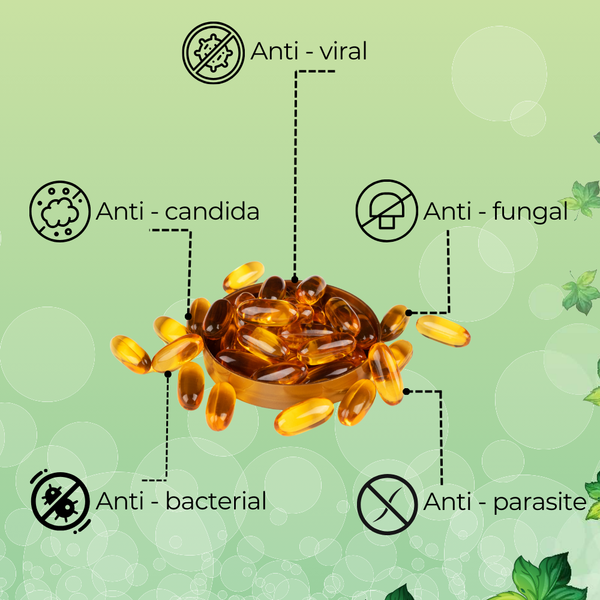 Oregano Oil Softgels with Black Seed Oil